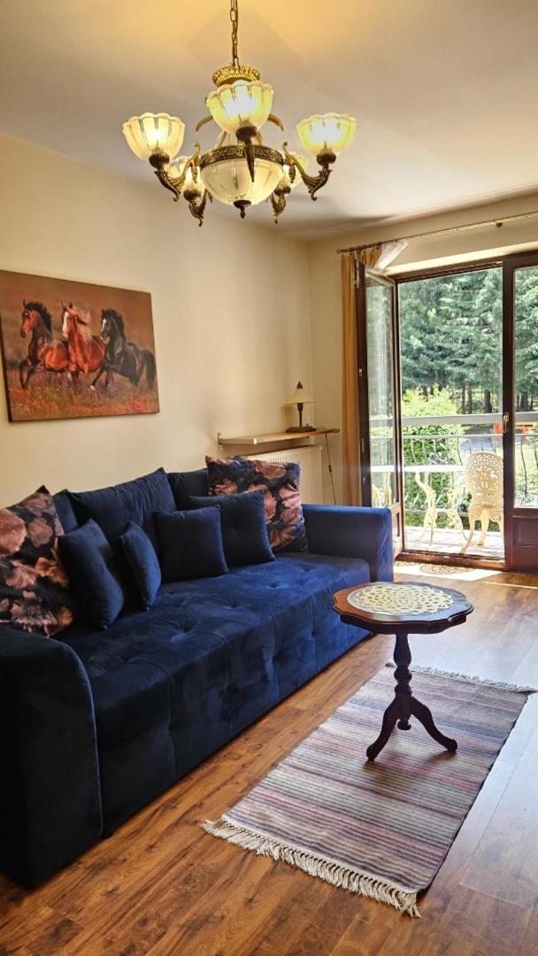 Apart4You Apartamenty Bulwary25 Zakopane Rom bilde